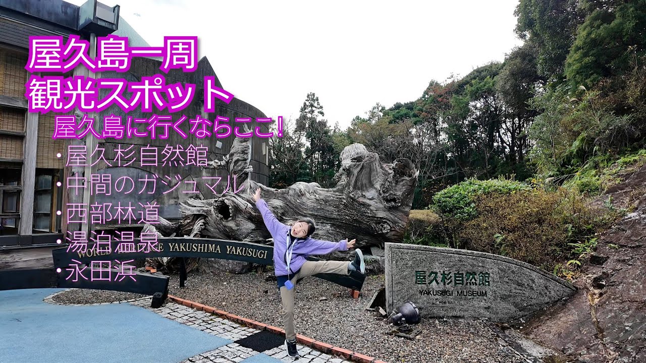 【必見！屋久島観光】屋久島のおススメスポット！レンタカーで一周して島を満喫！