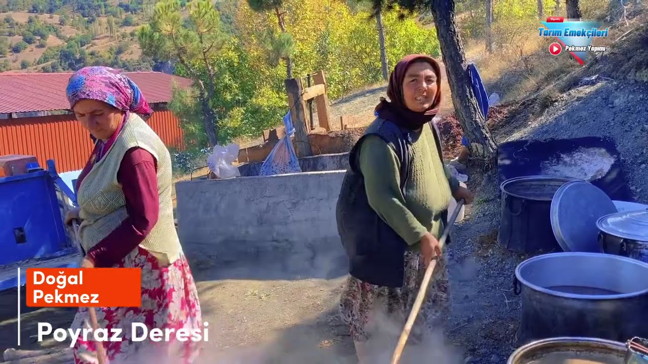 Doğal yöntemlerle yapıyorlar. Daily life of a Turkish farmer