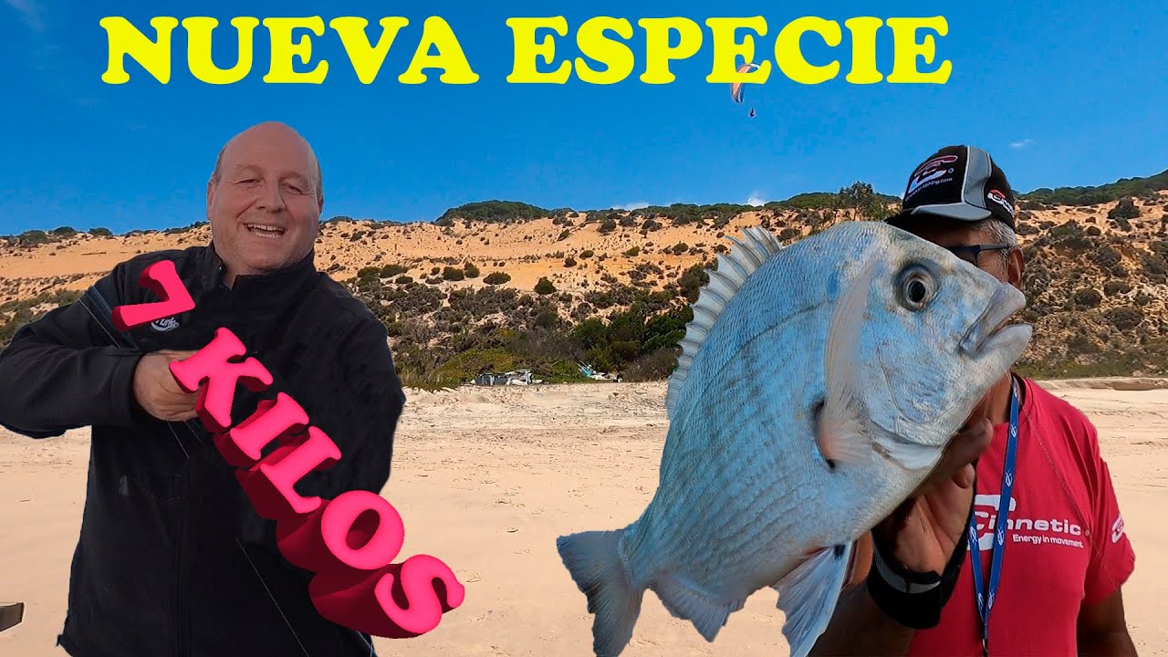 PESCA SURFCASTING NUEVA ESPECIE EN EL CANAL DE GRAN TAMAÑO