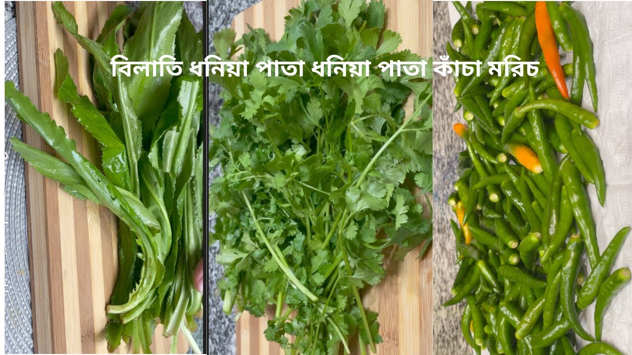 রমজানে এক মাস জুড়ে অতি প্রয়োজনীয়  বিলাতি ধনিয়া পাতা ,ধনিয়া পাতা, কাঁচা মরিচ সংরক্ষণ পদ্ধতি
