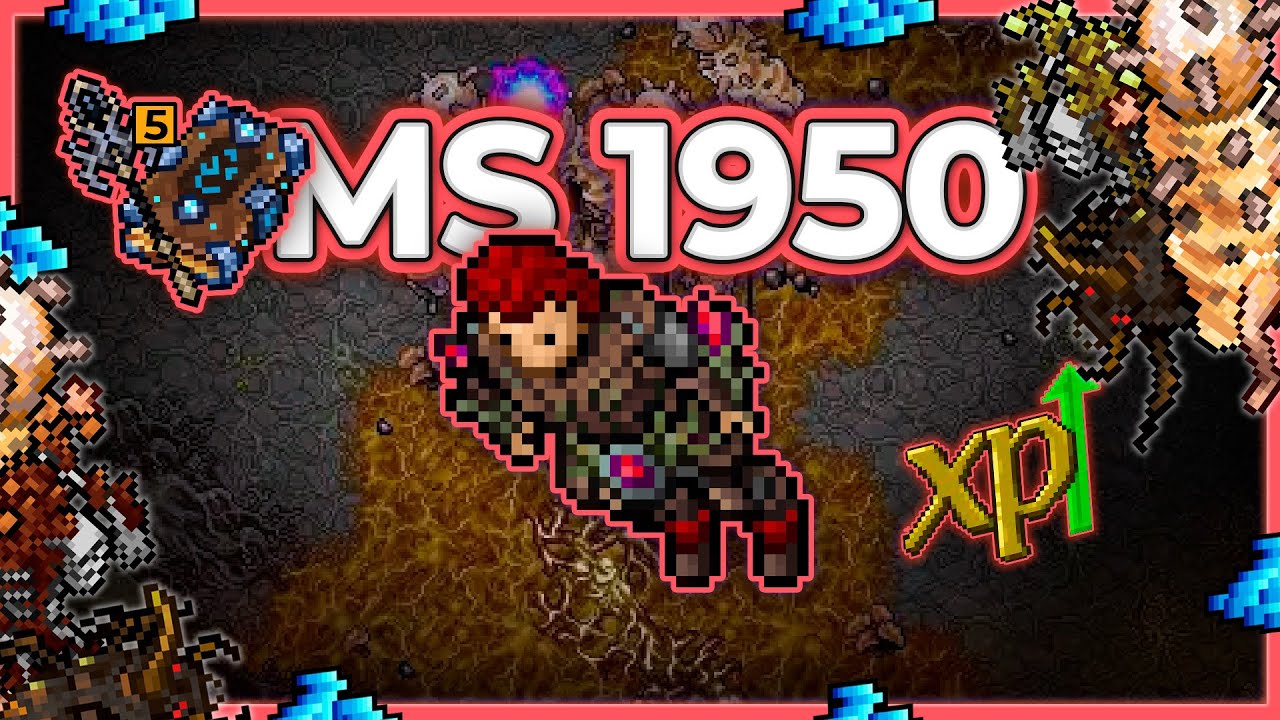 MS 1950 Hunt x4 Jaded Roots 15.4kk/h Raw (No Runes) + 5.5kk Profit - Tibia Hunt [13.20] #tibia
