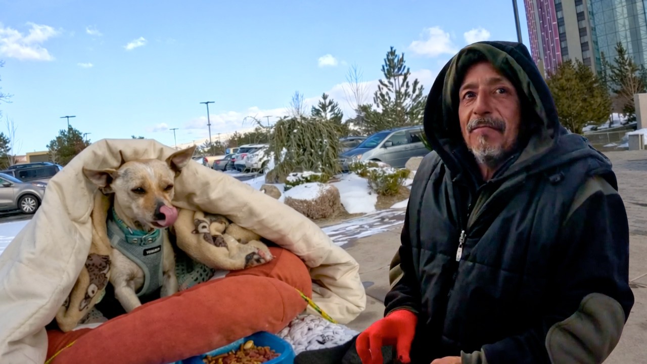 What is The Saddest Thing That Can Happen To a Homeless Pet Owner