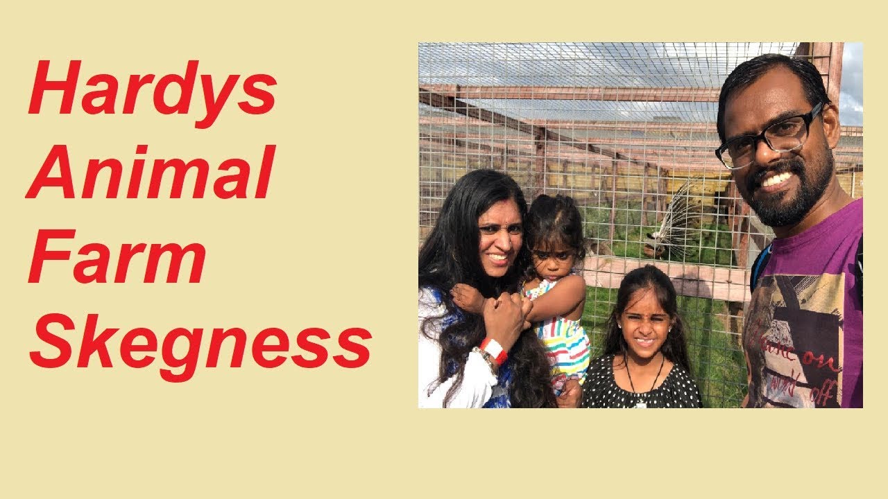 Hardys Animal Farm Skegness  | Malayalam Vlog #farmanimal #skegness