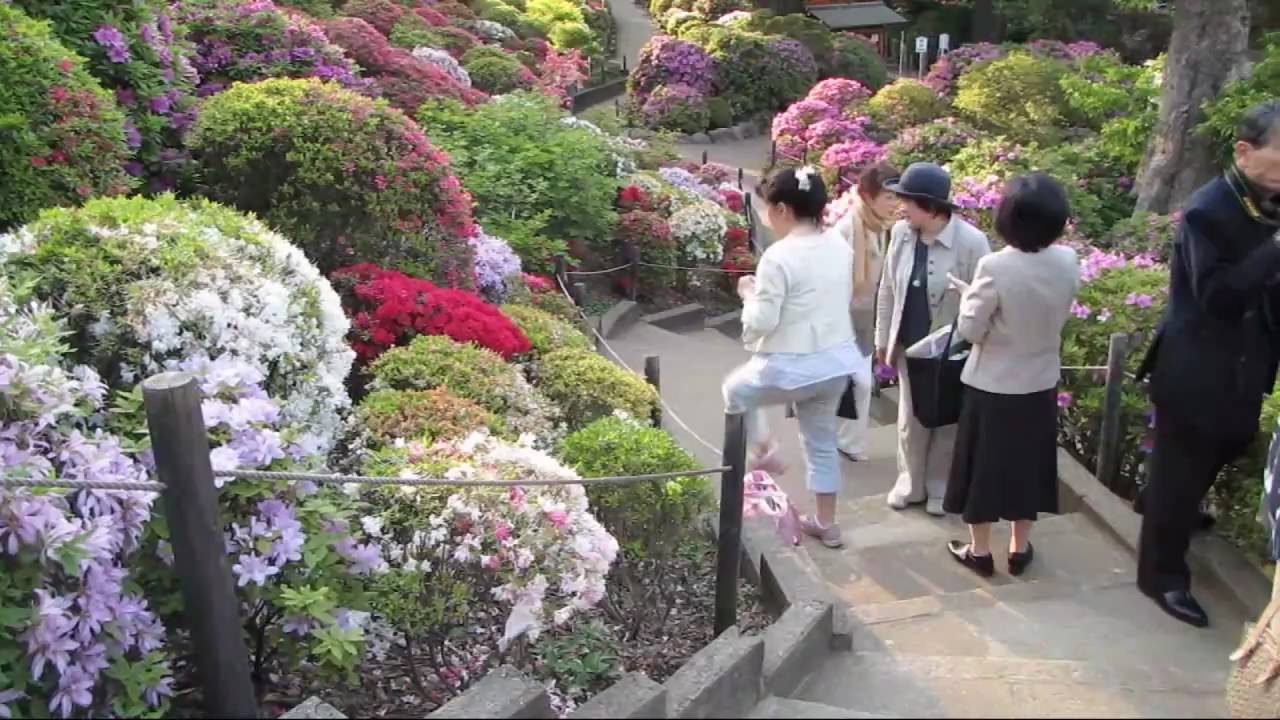yanesen  / Nezu Ginjya  /  Long ReeL Version