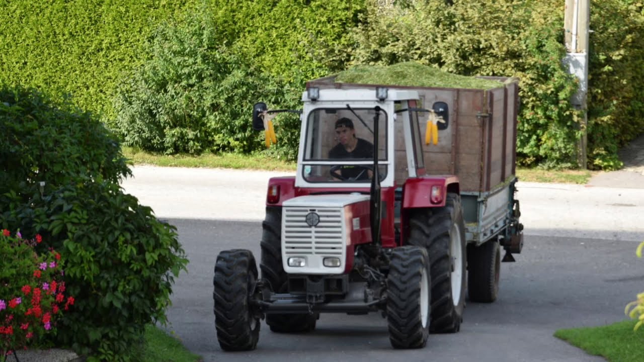Maisernte mit guter alter Technik|Steyr Plus|