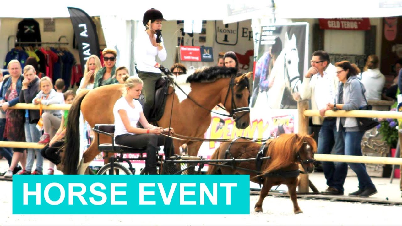 VLOG #6 Horse Event 2015! | felinehoi