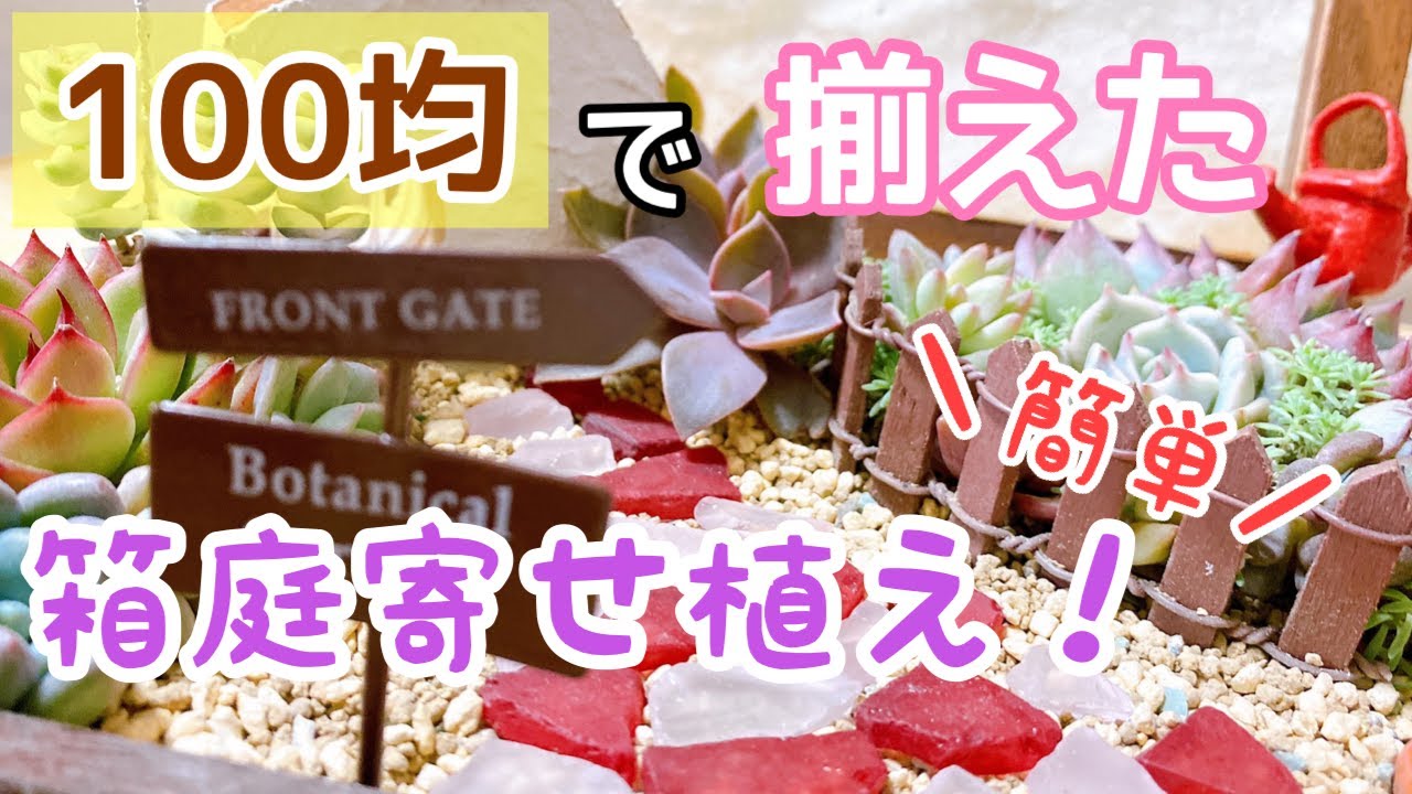 【 多肉植物 】箱庭寄せ植え ! 100均でそろうので初心者さんにオススメです。