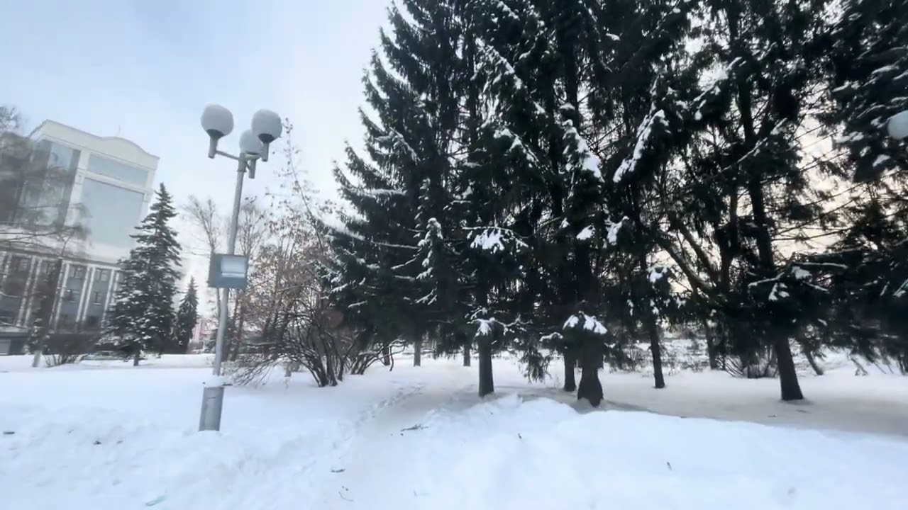 Walk with me, гулять  🌨️￼
