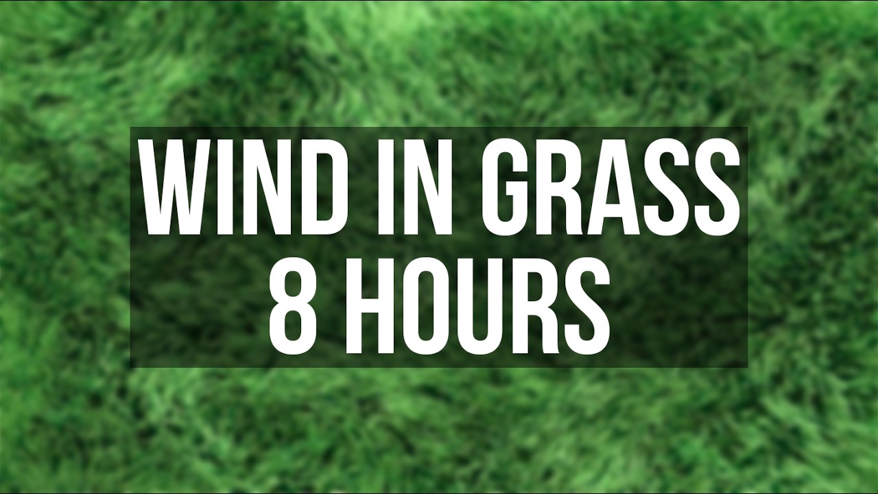 8 Hours Wind in Grass 🌿 Natural Wind Sounds for Sleep, Relaxation & Focus
