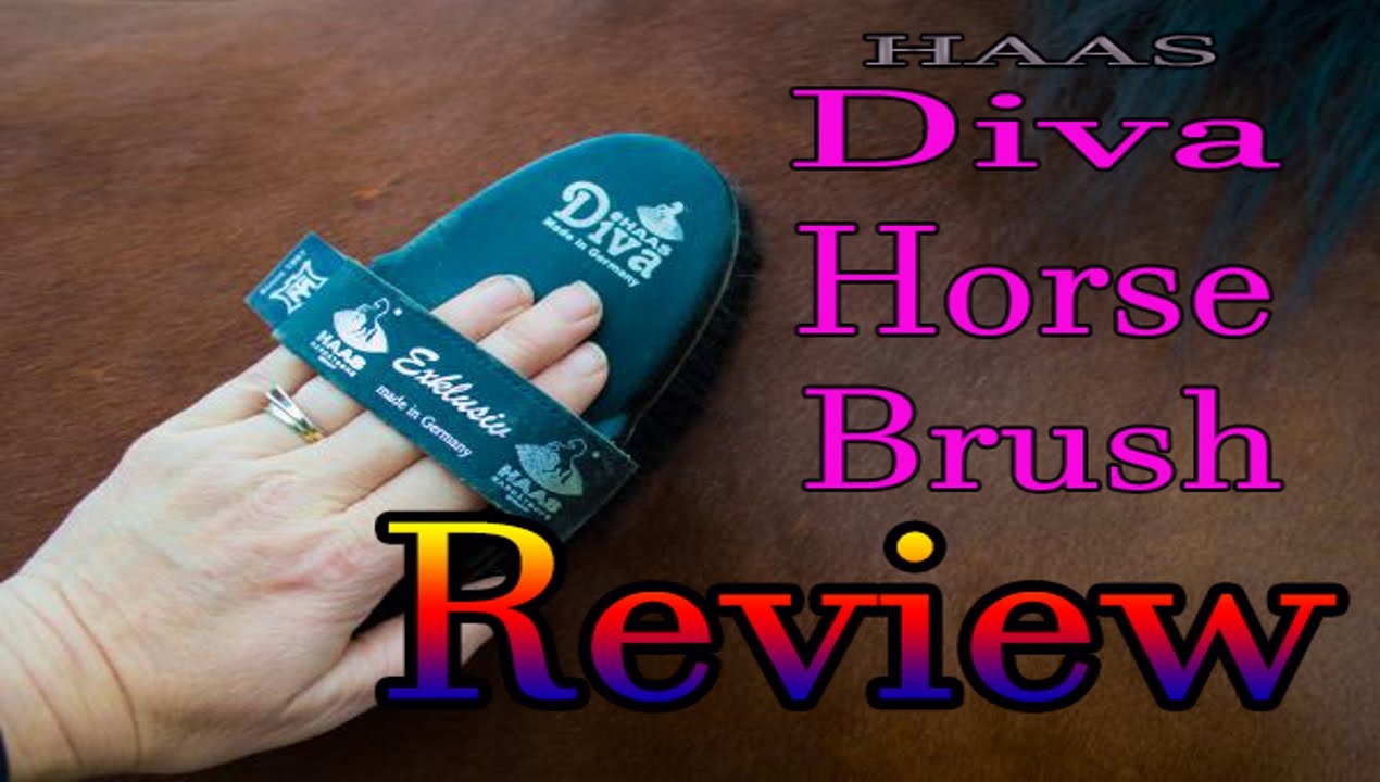 Haas Diva Exclusive Horse Brush Review
