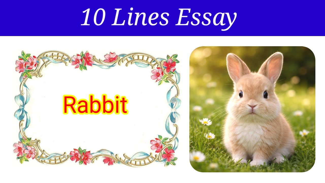 10 Lines Essay on Rabbit in English | Rabbit Essay in English | Easy essay on rabbit | Rabbit Essay