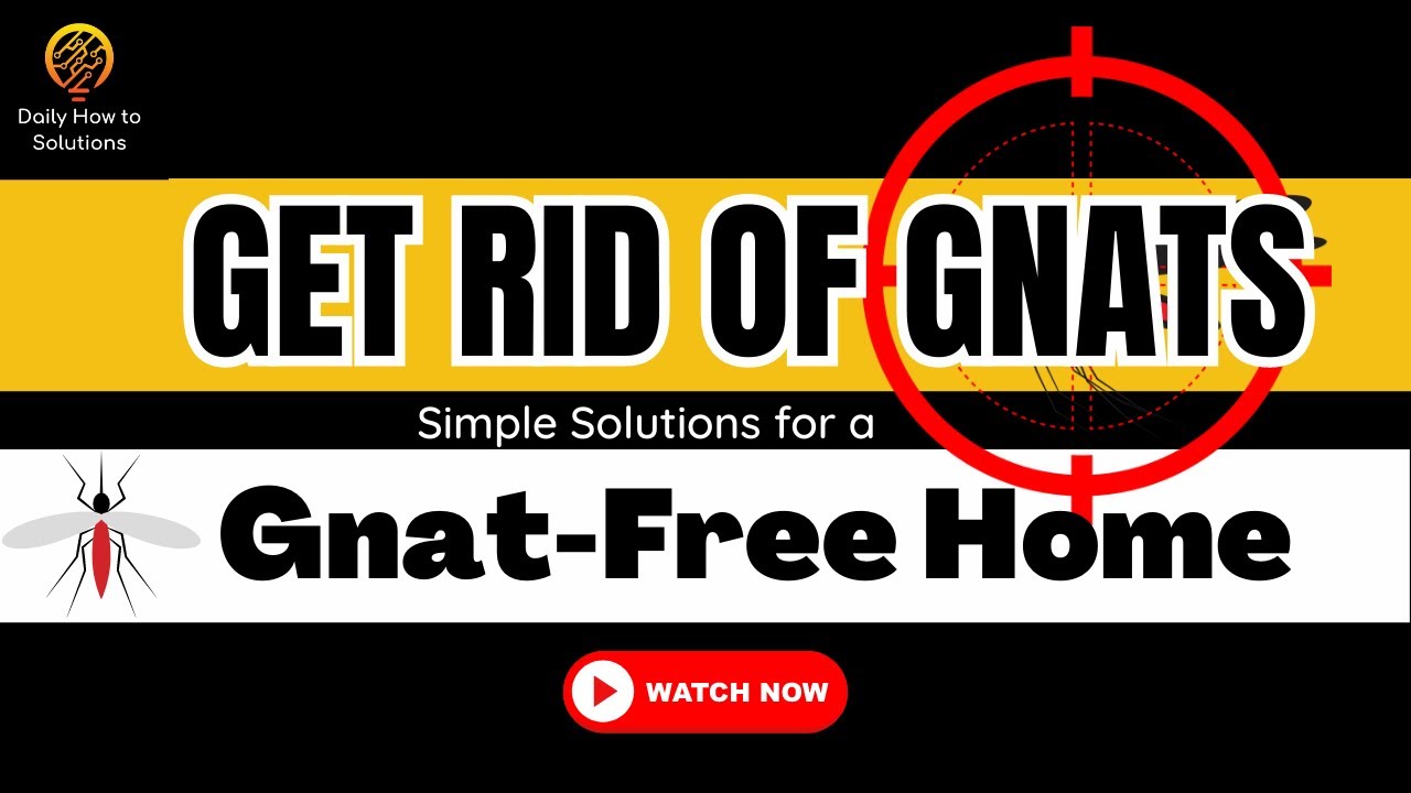 Gnats Be Gone: The Ultimate Guide to Getting Rid of Gnats in Your Home | #gnatremoval #homecleaning