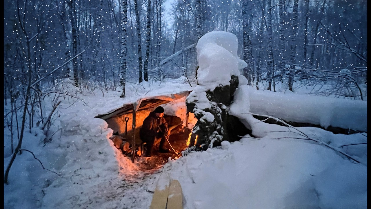 24 Hours Alone in the Winter Forest: Survival in Deep Snow under a Fallen Tree Root