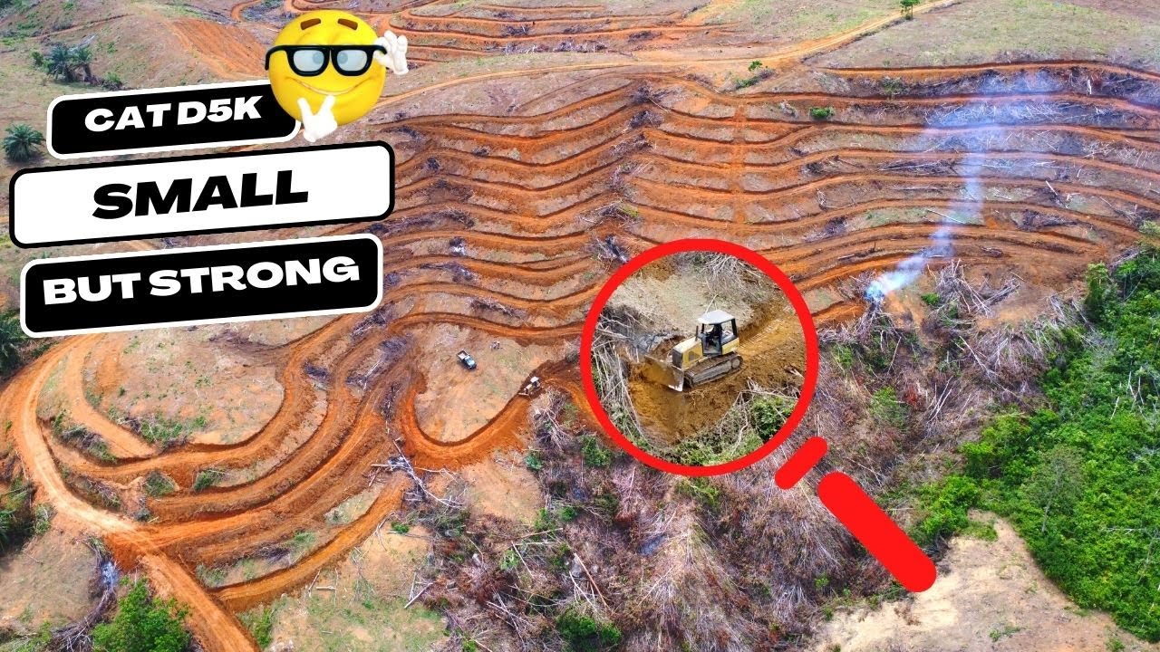 Perfectly Strong CAT D5K Dozer Leveling Ground For Palm Oil Plantation Construction