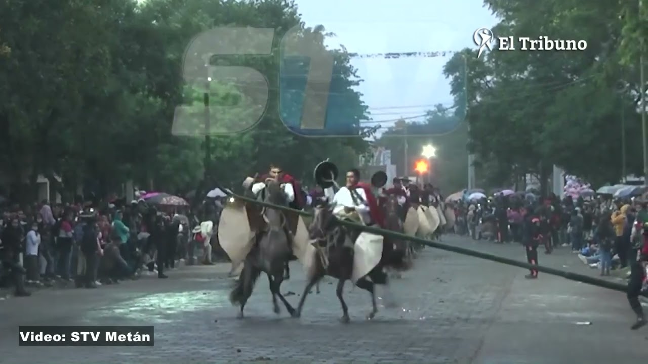 Metán: en el desfile en honor a San José se cayó un poste de iluminación sobre dos caballos