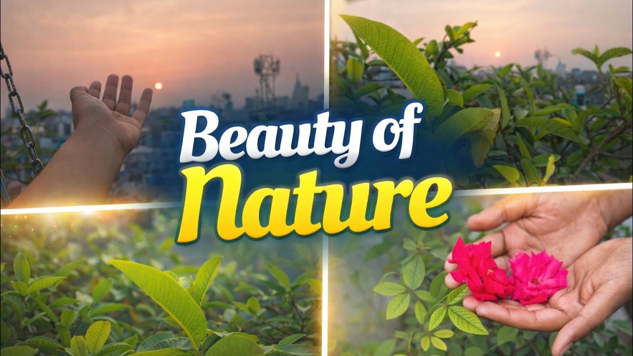 Beauty of Nature ☀️🌄🌈