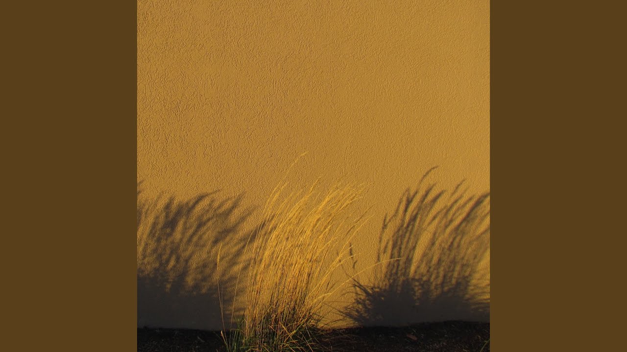 After the Rain