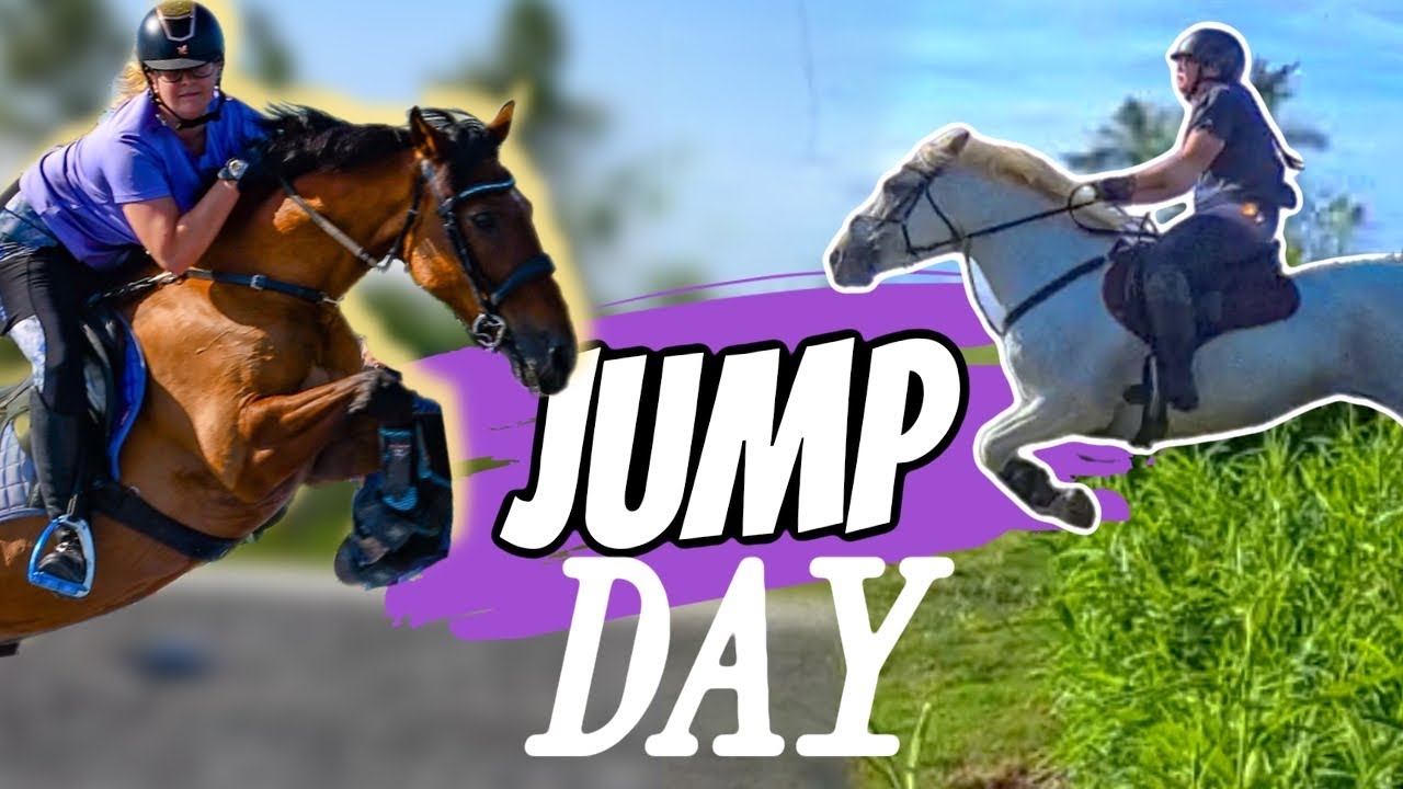 FIELD FARM DAY 4 |JUMP DAY!