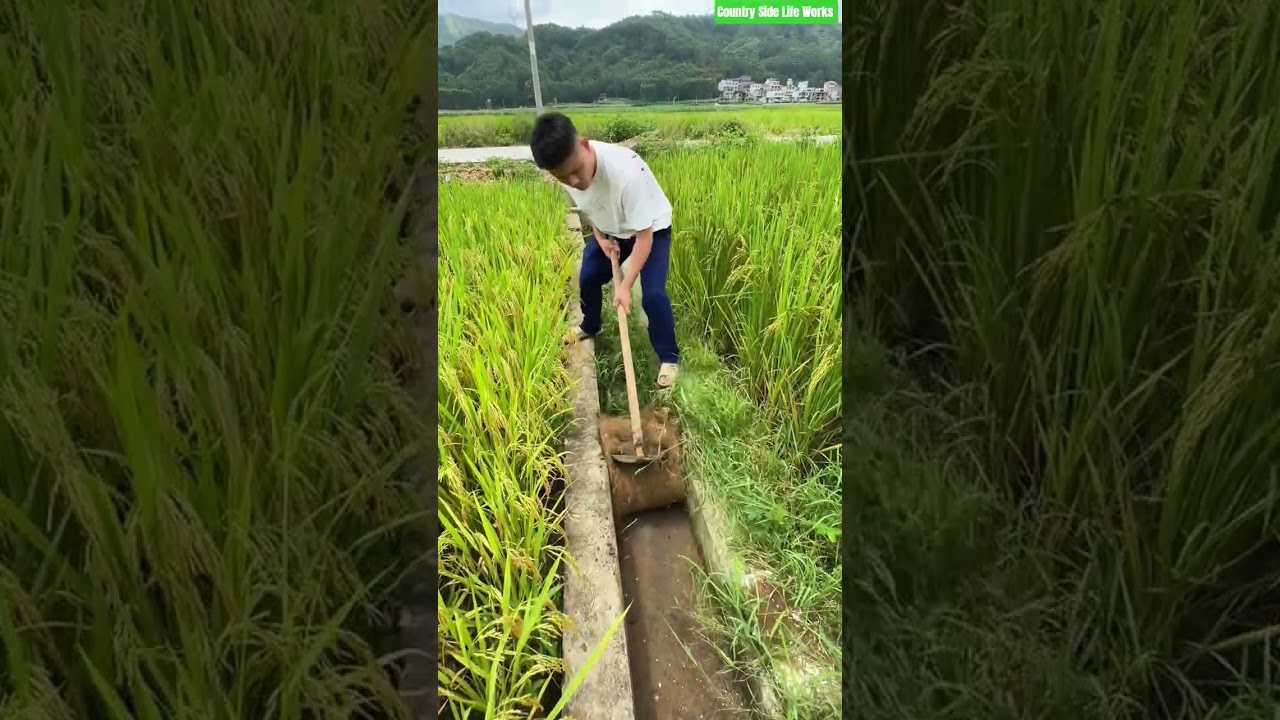 🌾⚙️ Mechanical Silt Extraction and Precision Debris Removal for Field Drainage Channel Maintenance