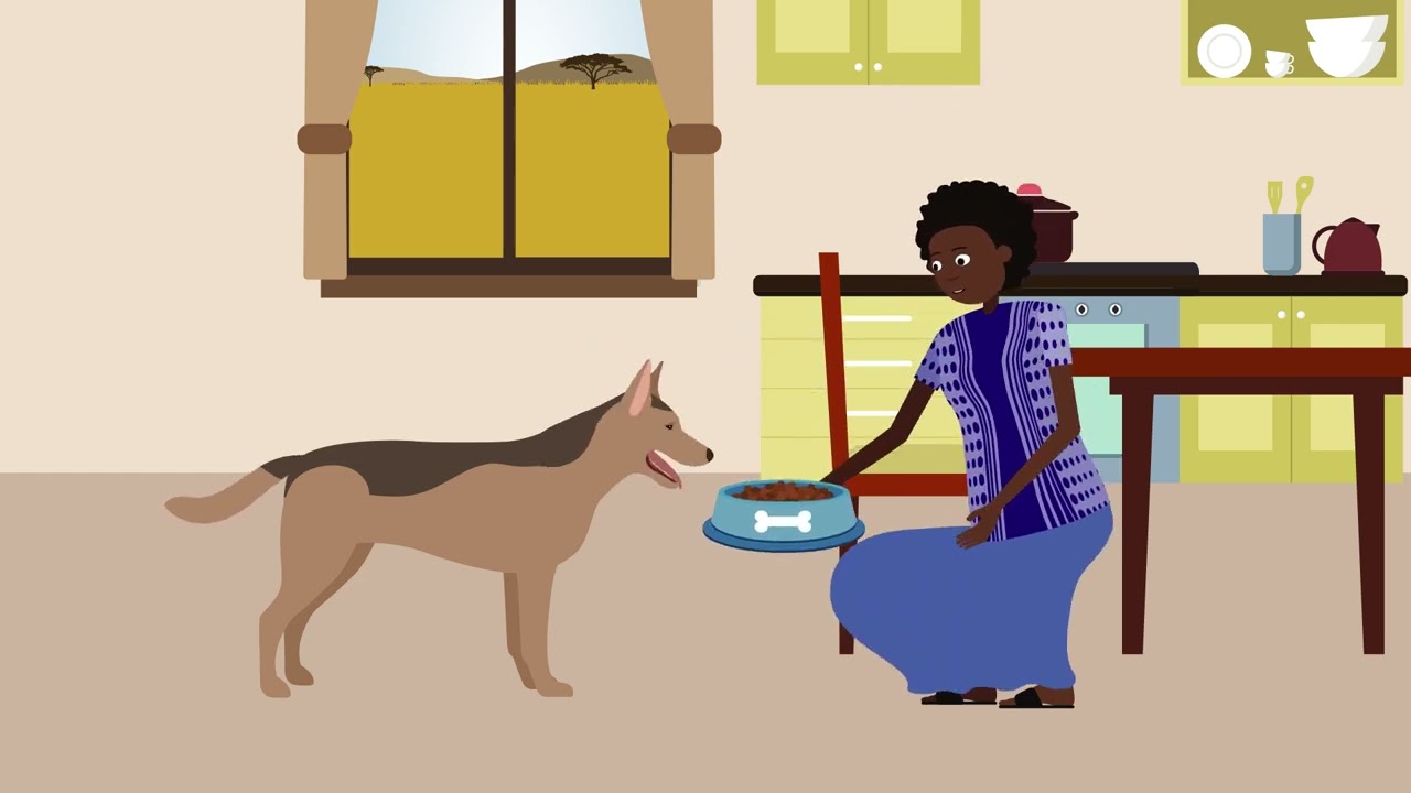 How can vaccination prevent rabies in dogs?