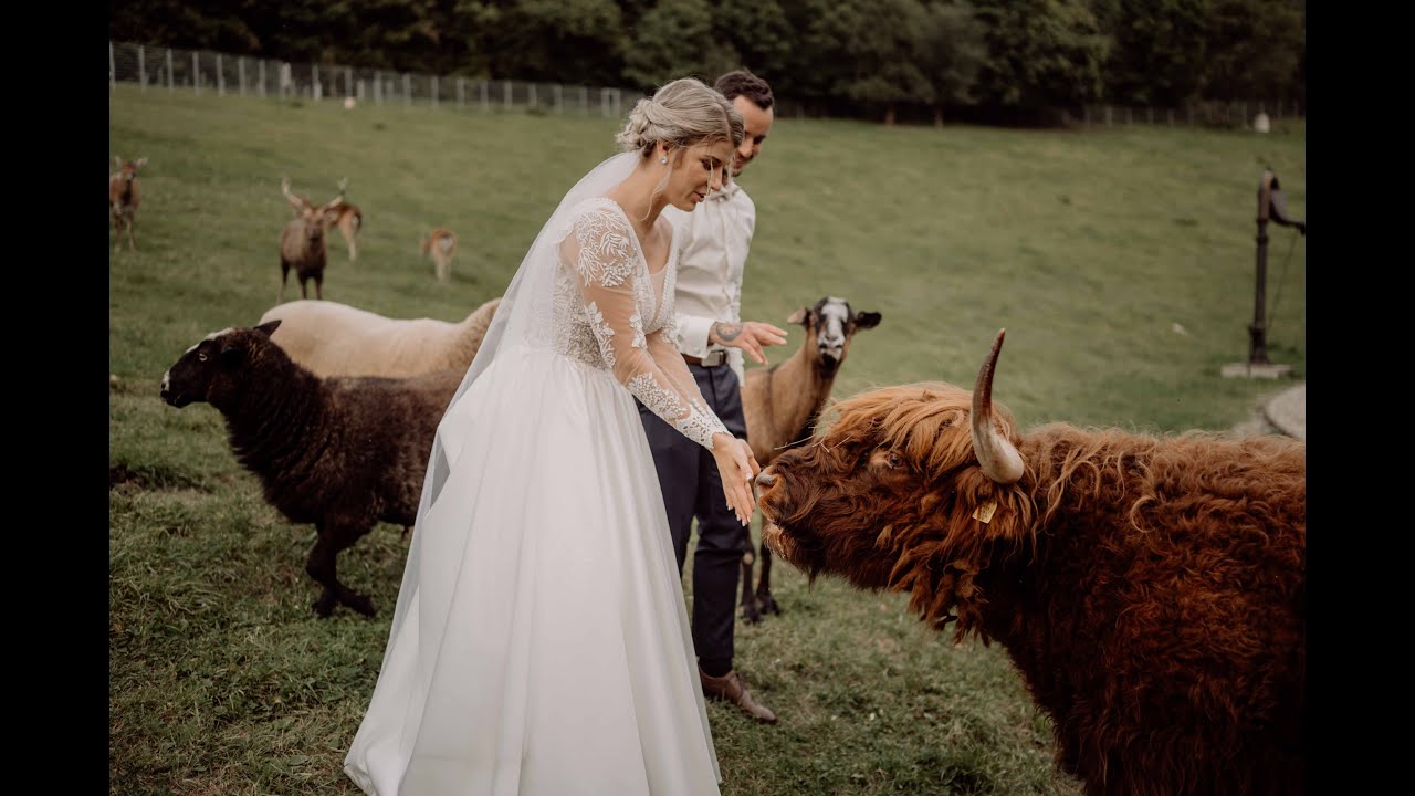 Svatební video | Andrea & Míra | tomgreiner.cz
