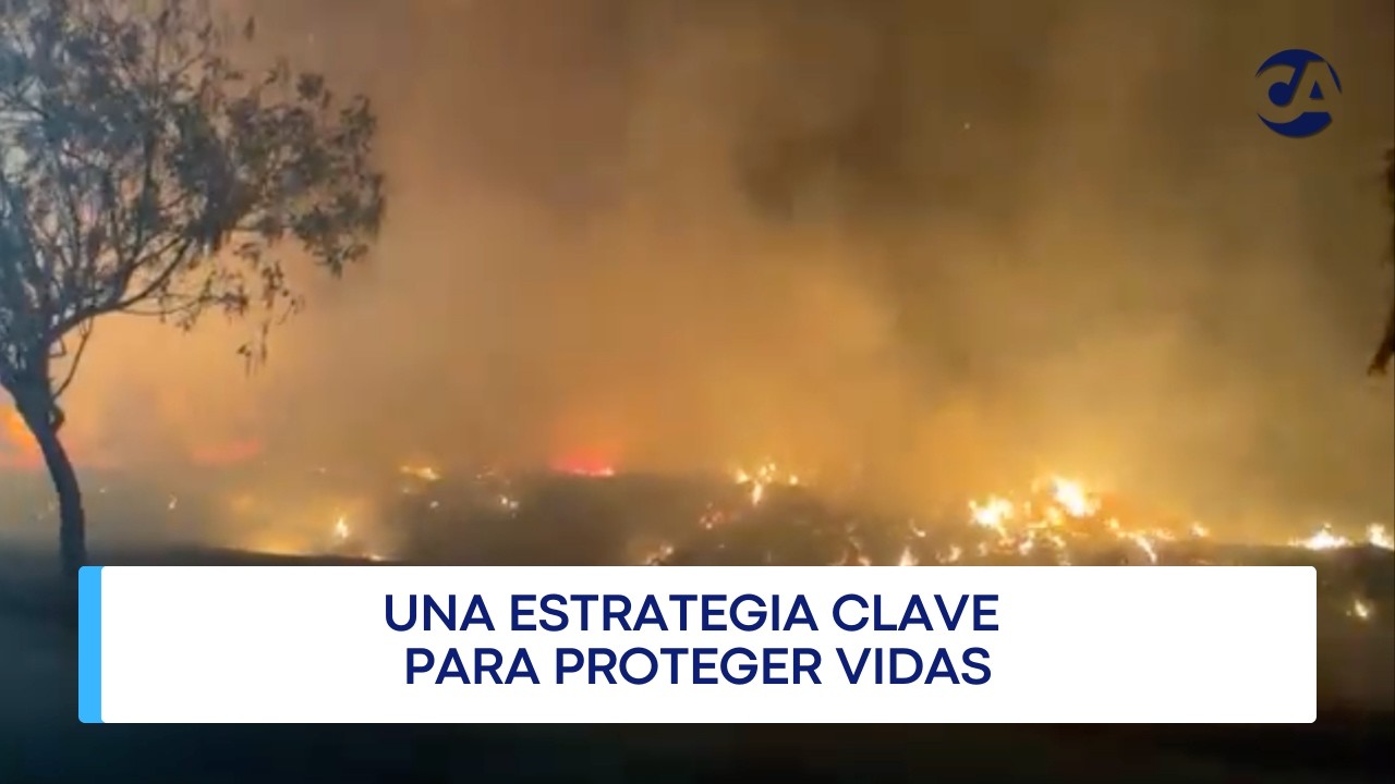 Fuego bajo control: lucha aérea contra incendios forestales