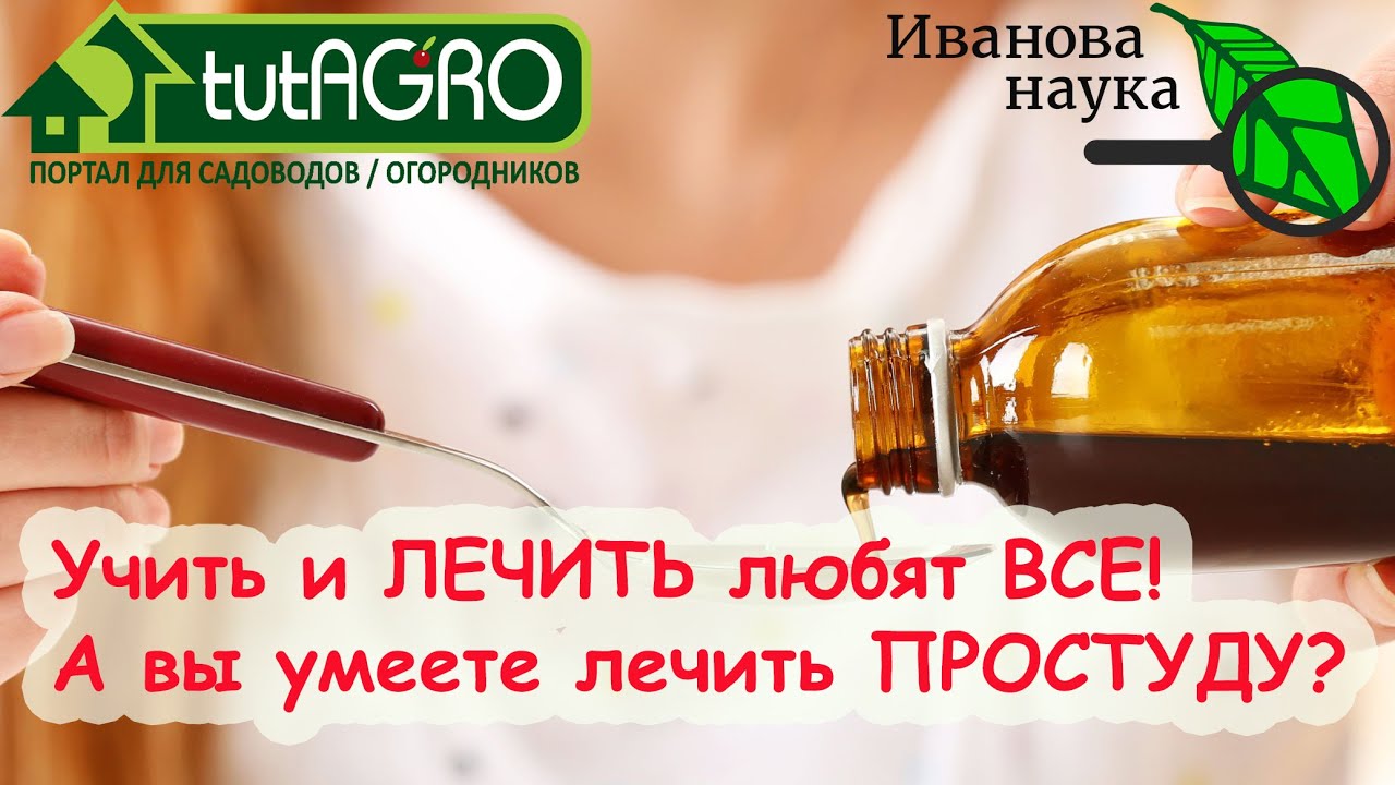 ВОТ ТАК ЛЕЧИМСЯ! НЕ СПЕШИТЕ НА РАБОТУ и ещё 8 важных правил лечения простудных заболеваний.
