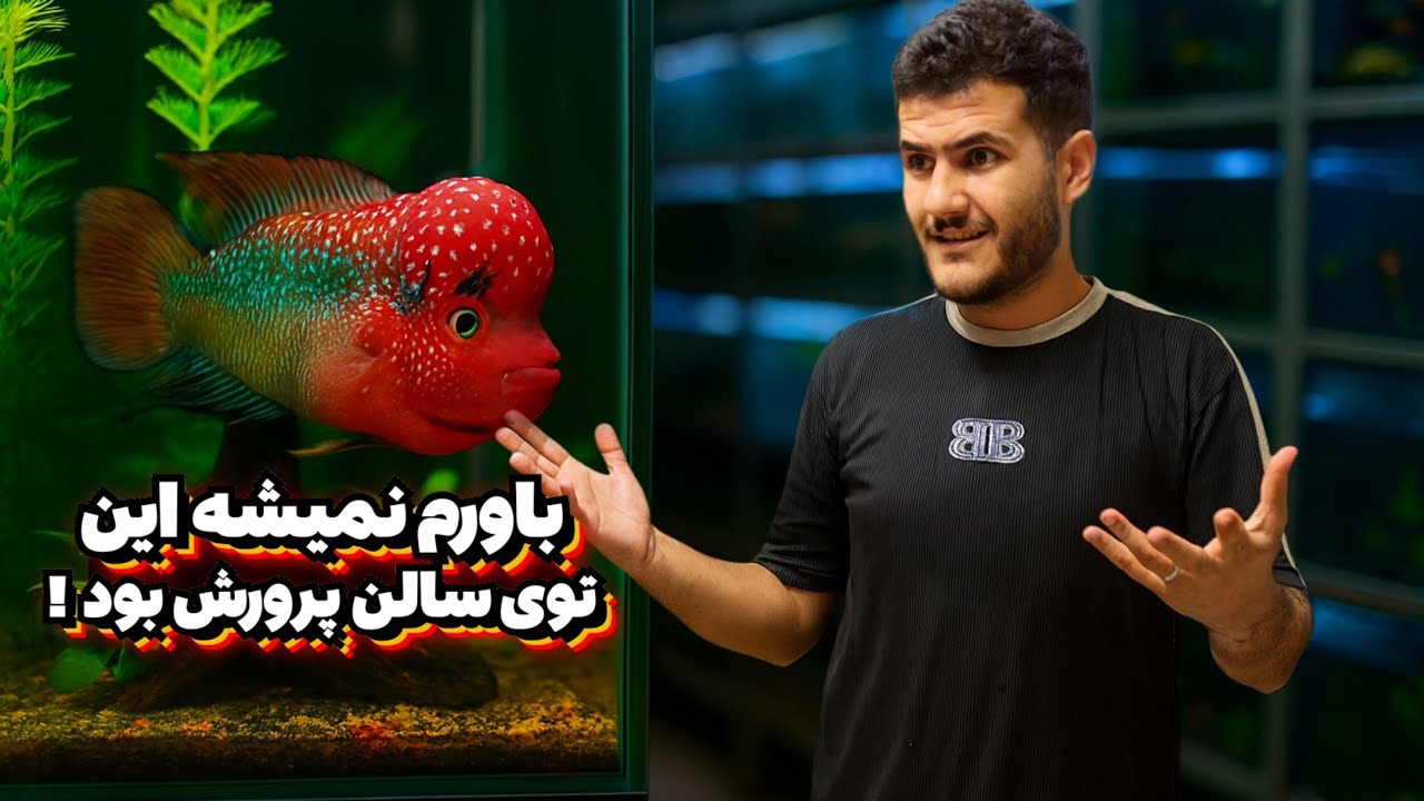 زیباترین ماهی هایی زینتی که دیدم ولاگ سالن پرورش ماهی