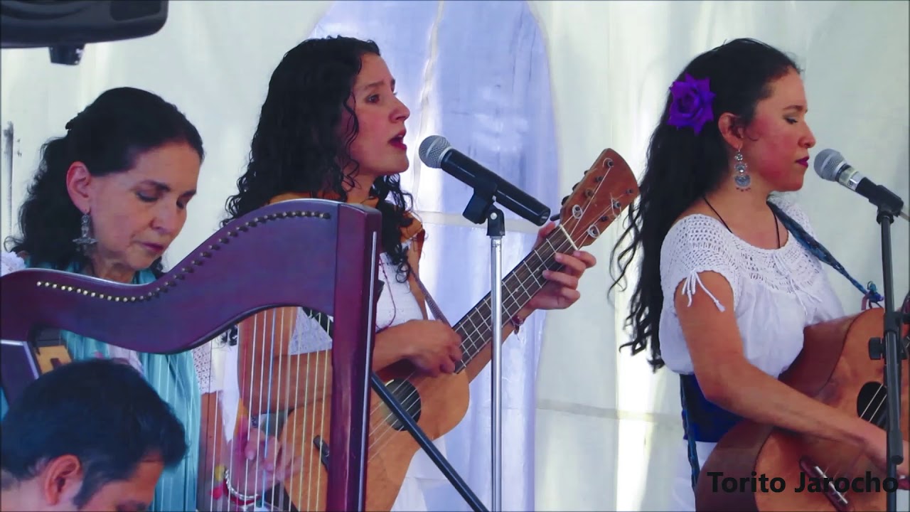 Caña Dulce y Caña Brava: 