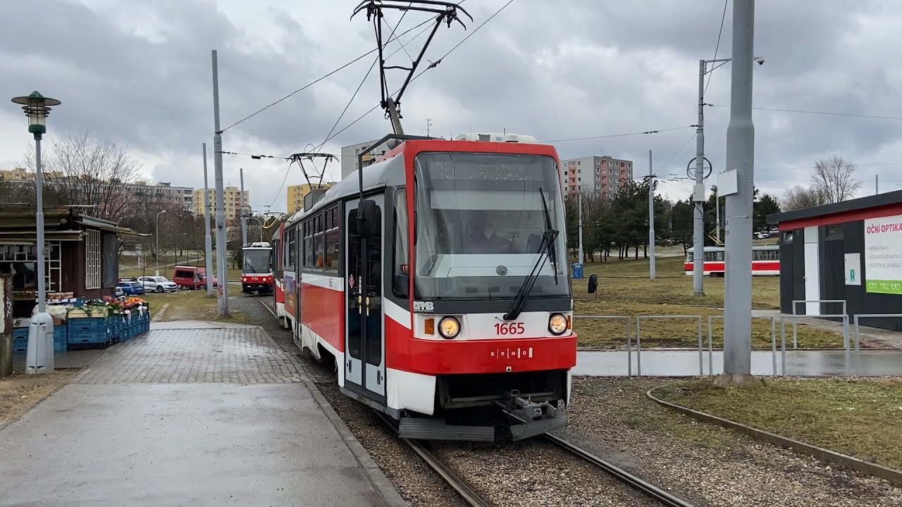 VŠECHNY KONEČNÉ ŠALIN V BRNĚ ZA JEDEN DEN?