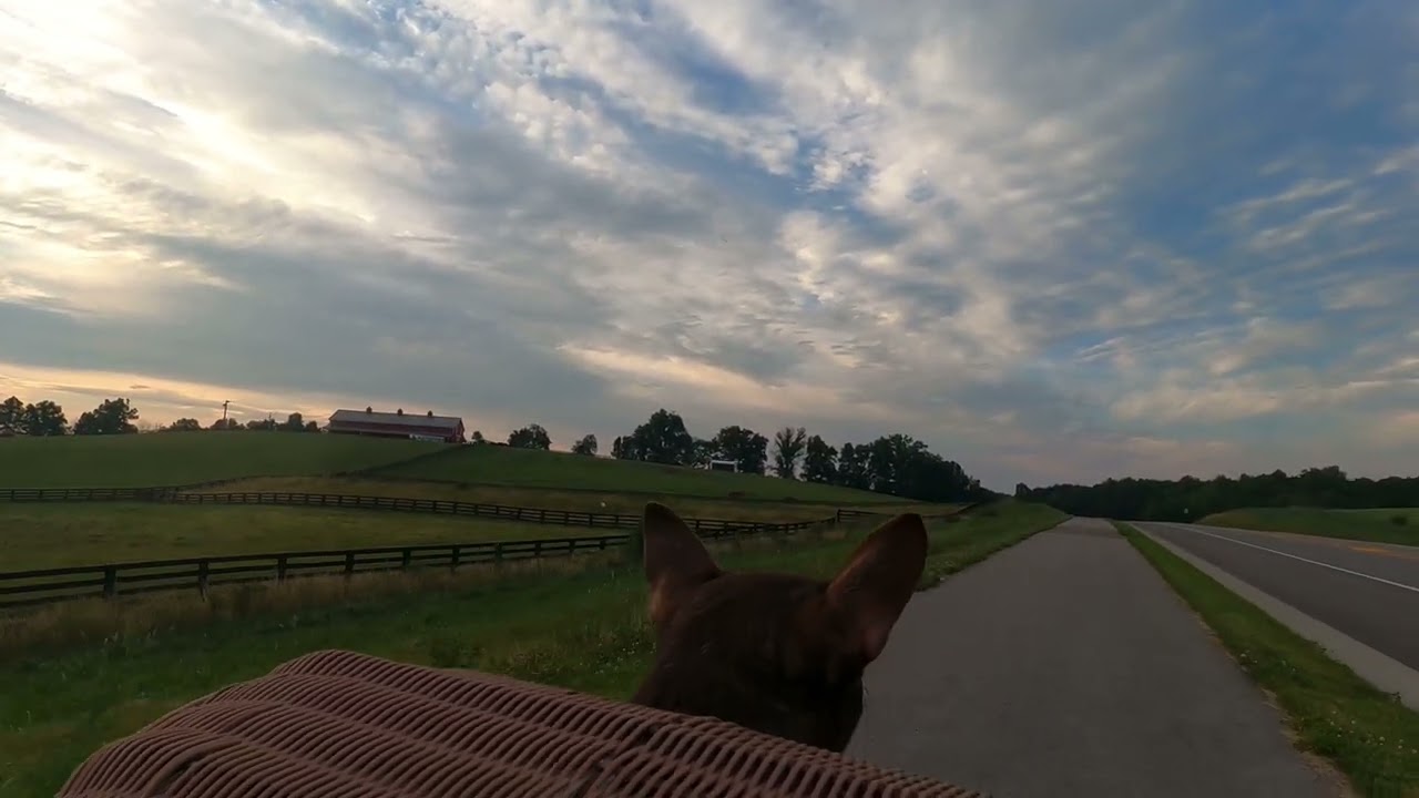 Berea Trails #7 - Exploring the Berea Bypass, Shortline & Stephenson Memorial Trails in Berea ky.