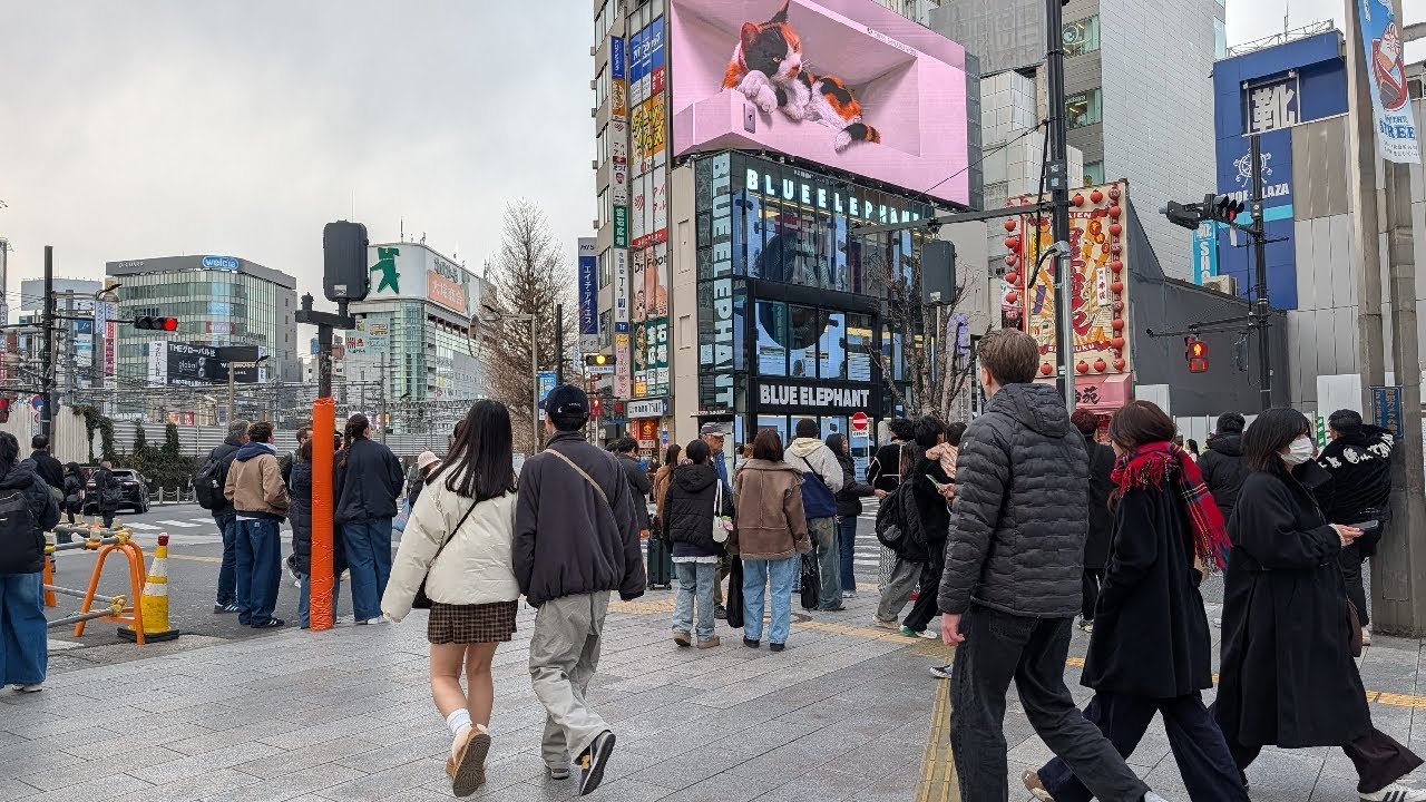 【高画質FHDお散歩ライブカメラ】新宿　散歩　Shinjyuku walking【live camera】2026/01/29