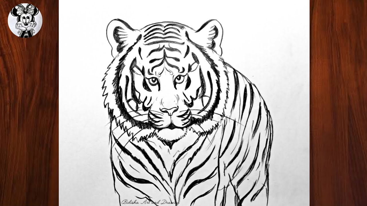 How to draw a tiger 🐅 | Tiger Drawing most simple ever | Pencil drawing techniques 