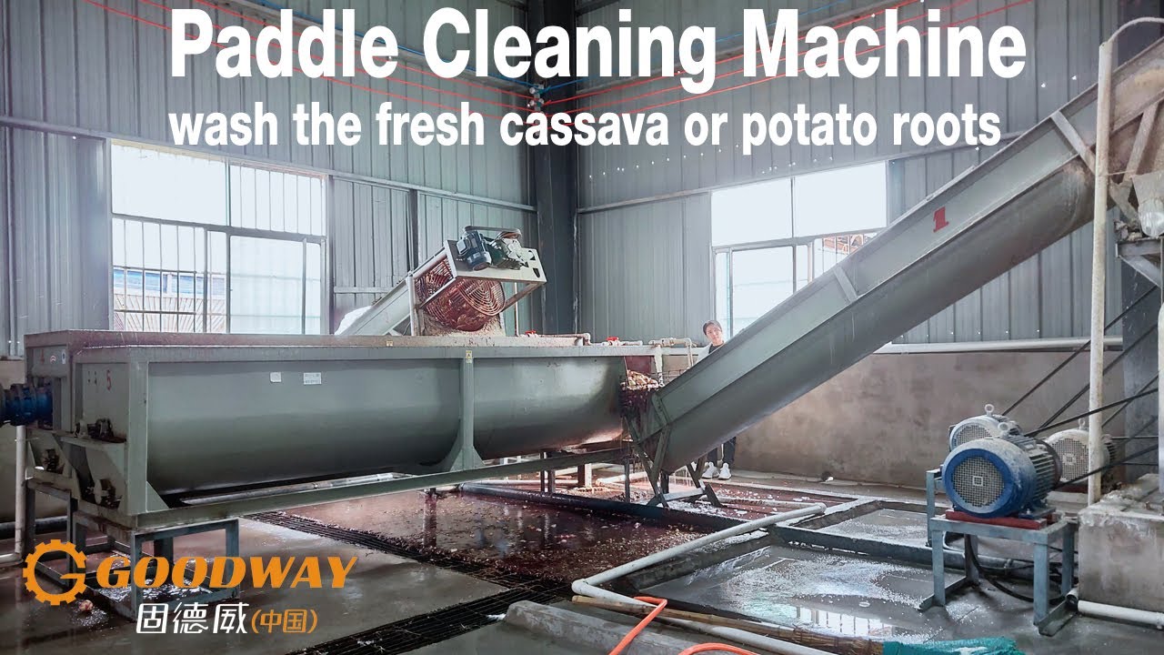 Cassava Washing Machine Cassava Paddle Washer