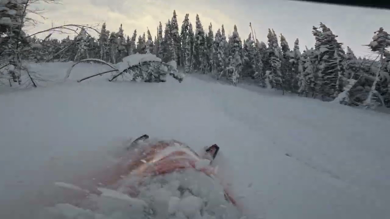 Motoneige hors-piste Monts Valin 24 janvier 2026