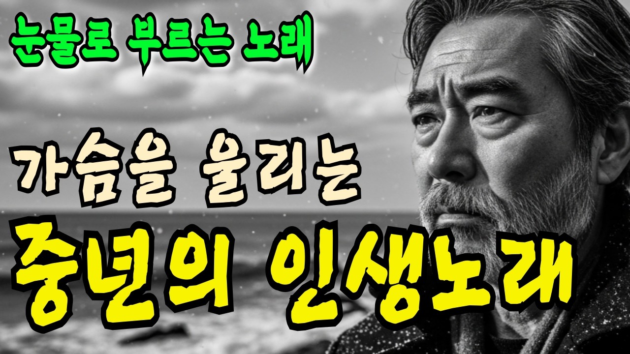 눈물의 인생 트로트 연속 듣기 | 굽이굽이 살아온 우리네 인생 이야기 5곡 (가슴 시린 중년 가요)