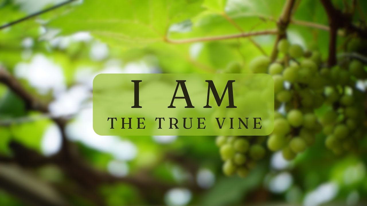 I AM The True Vine | Rose Schwartz
