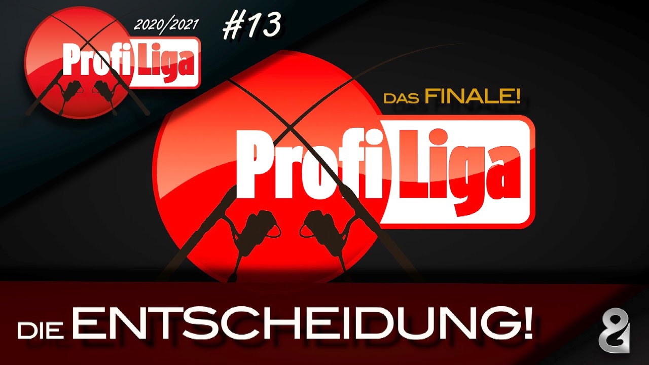 Das FINALE! Profi Liga S6F13