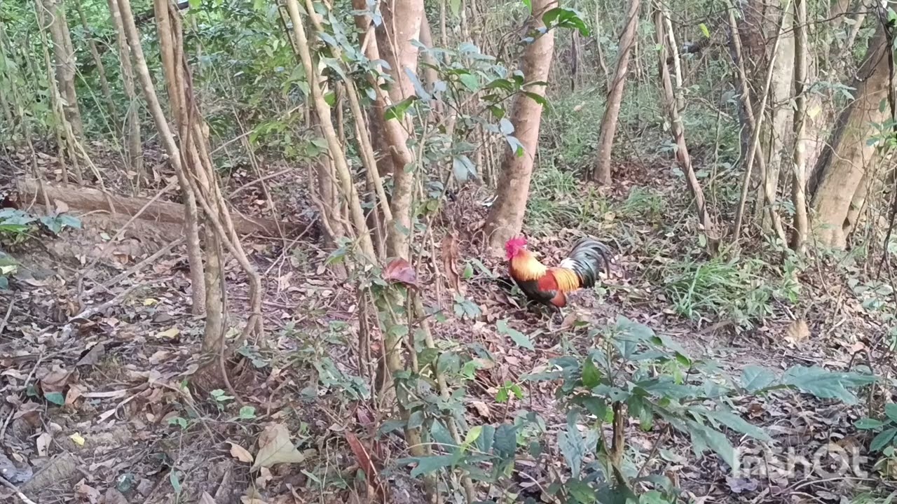 ไม่อยากโม้เลย