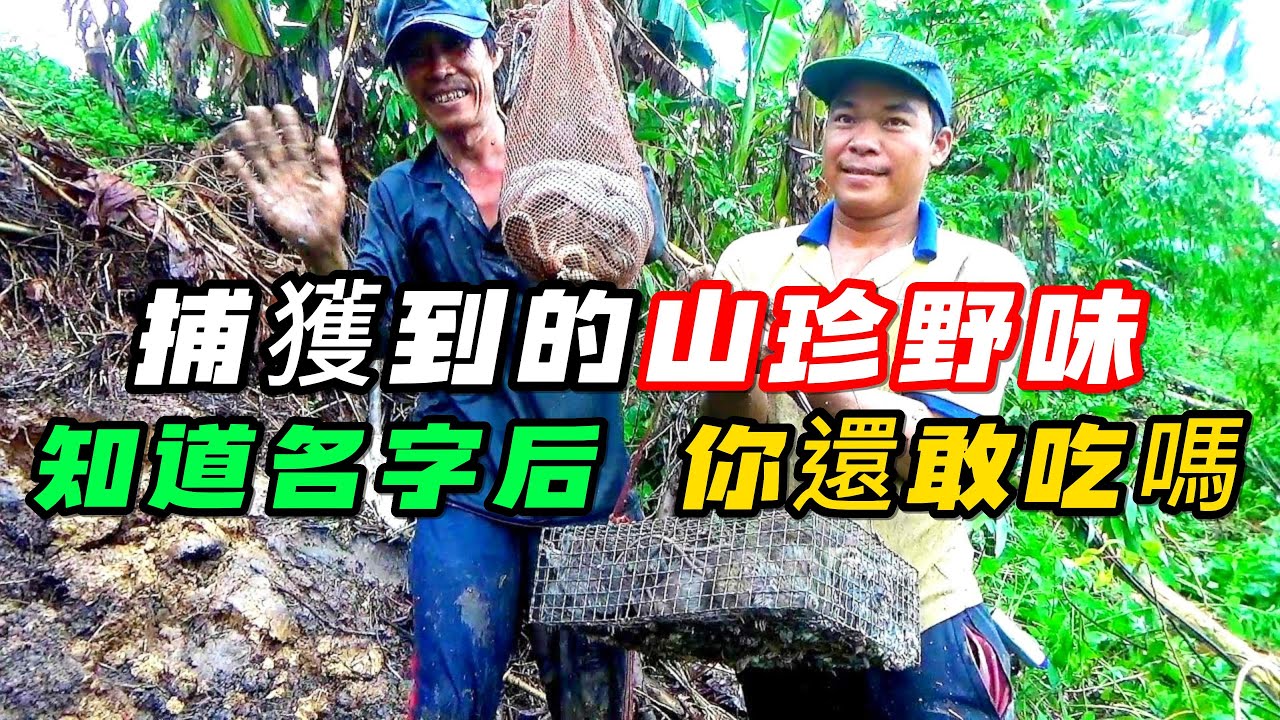 捕獲到的山珍野味，知道它們的名字之後，有90%的人不敢吃《荒野大餐》第二季 29