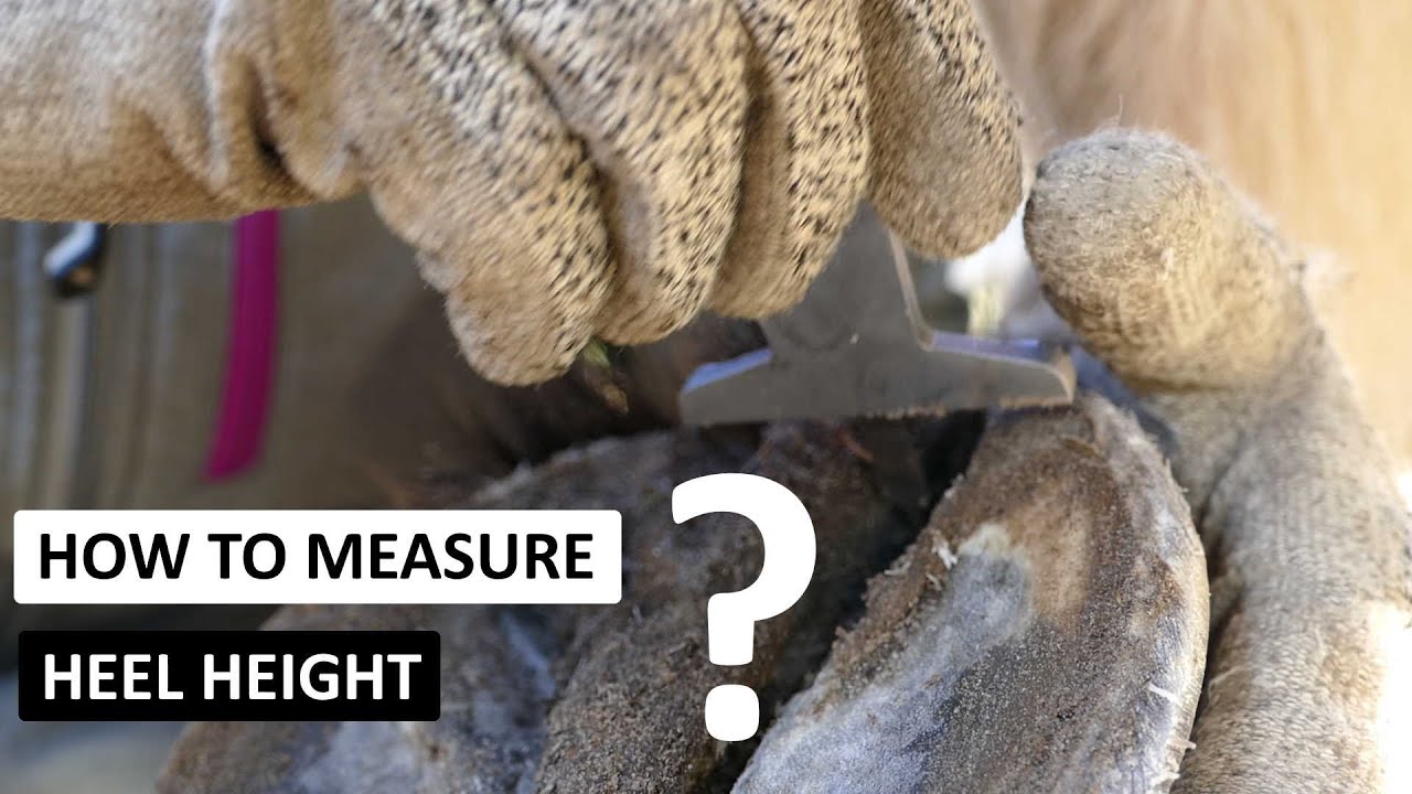 How to Measure Heel Height?