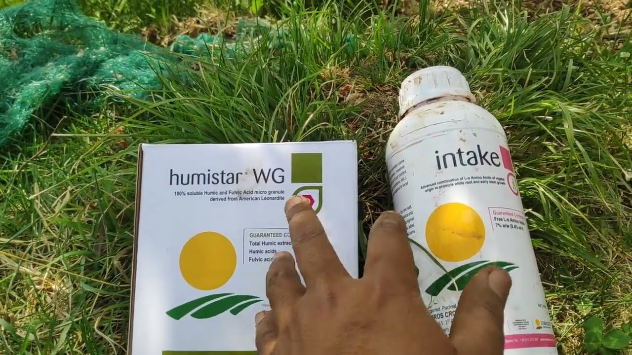 Apple Plantation के वक़्त Humic Acid Use करना क्यों ज़रूरी हैं?