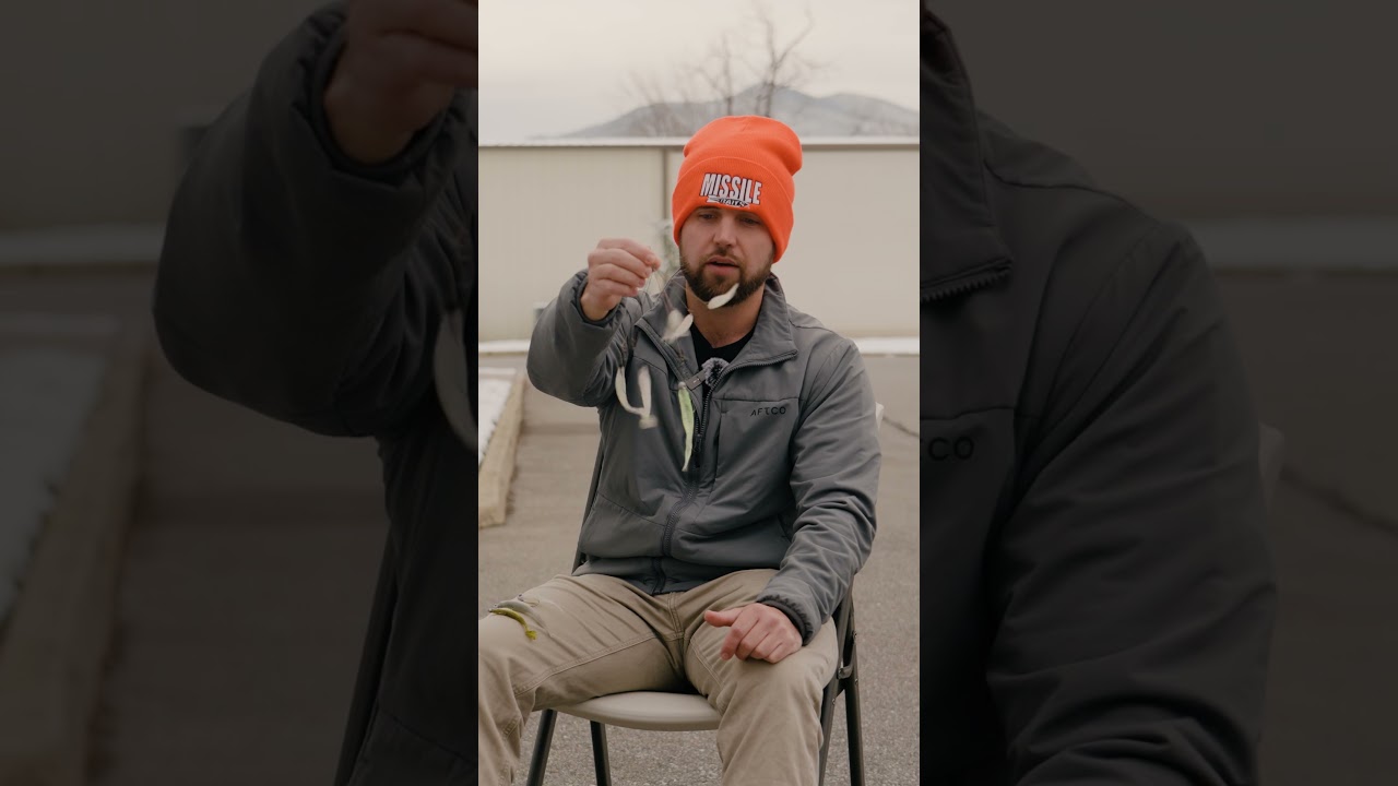 How to imitate batifish in the winter and catch more bass! 