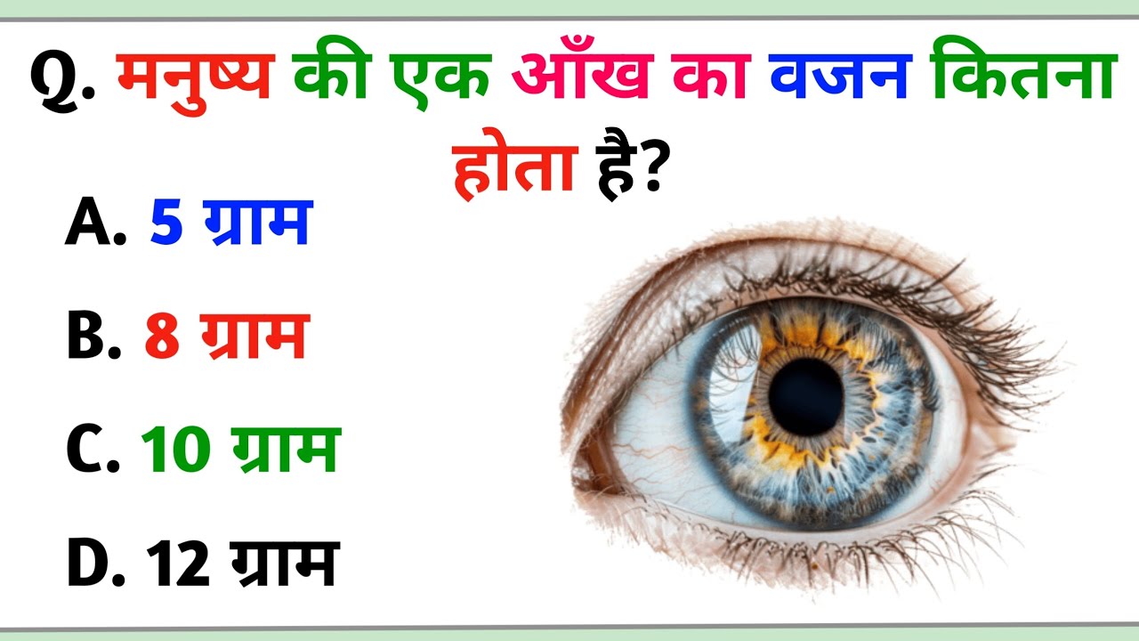 GK Question | GK In Hindi | GKQuestion and Answer |GK Quiz | Objective GK Question 
