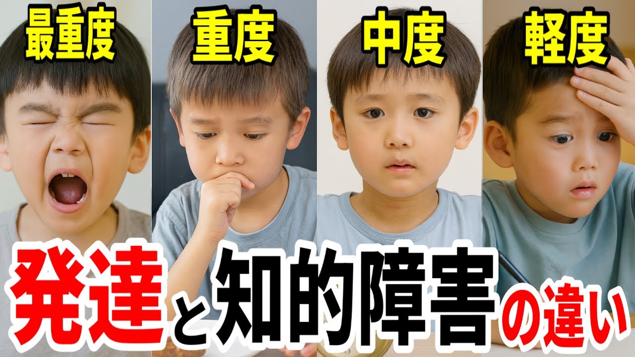【誤解されがち】子供の発達障害と知的障害の違いとは？軽度・中度・重度・最重度まで特徴をわかりやすく解説