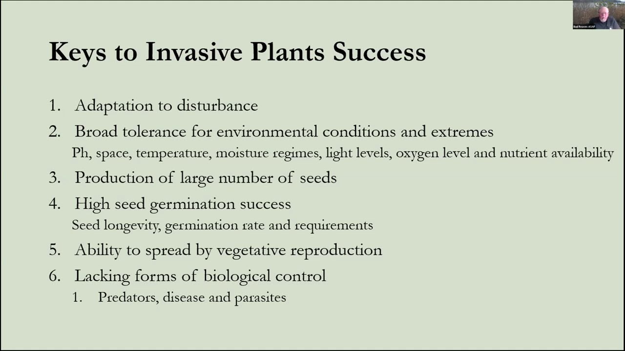 Weed Warriors- Invasive Species Effects on Woodland and Wildlife- Bud Reaves- Ep. 4
