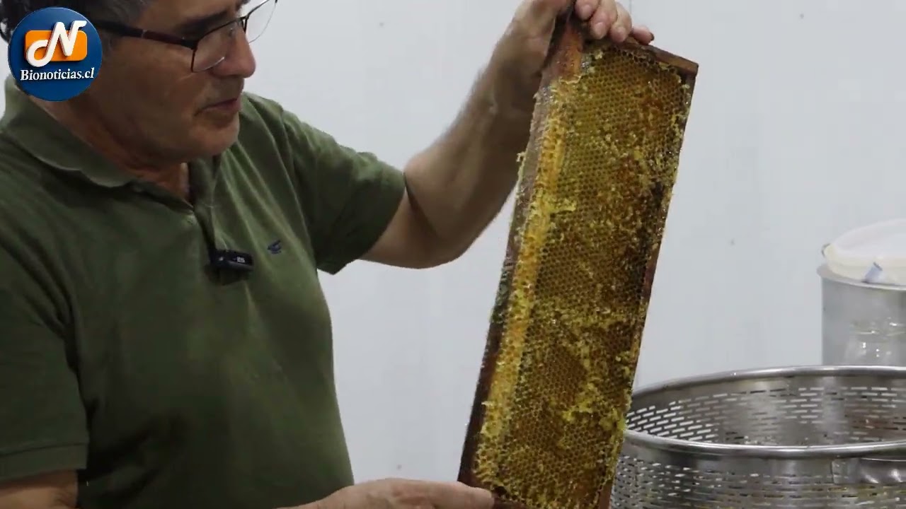 ¡Este es mi Emprendimiento!