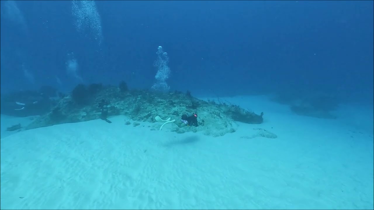 ヨナラ水道NOマンタ