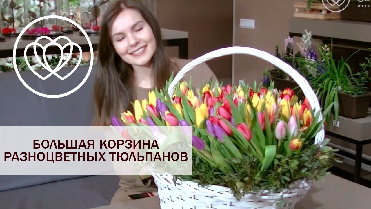 201 тюльпан с зеленью в корзине