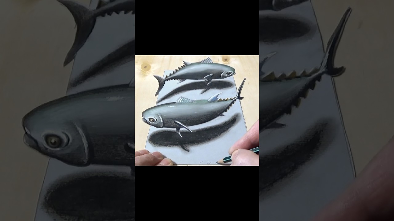 Draw 3D Tuna Fish #art #drawing #short